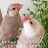 clipThumbnail