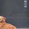 clipThumbnail
