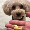 clipThumbnail