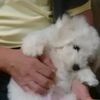 clipThumbnail
