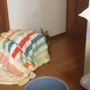 clipThumbnail