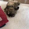 clipThumbnail