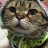 clipThumbnail