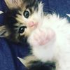 clipThumbnail