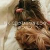 clipThumbnail