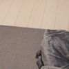 clipThumbnail