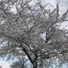 clipThumbnail