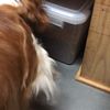 clipThumbnail