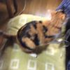 clipThumbnail