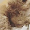 clipThumbnail