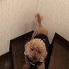 clipThumbnail
