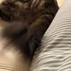 clipThumbnail