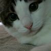 clipThumbnail