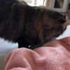 clipThumbnail