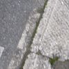 clipThumbnail