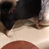 clipThumbnail