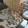 clipThumbnail