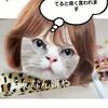 clipThumbnail