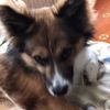 clipThumbnail