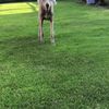 clipThumbnail