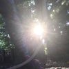 clipThumbnail