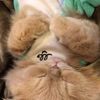 clipThumbnail