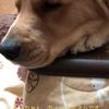 clipThumbnail