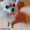clipThumbnail