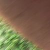 clipThumbnail