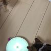clipThumbnail