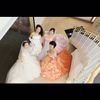 clipThumbnail