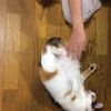clipThumbnail