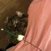 clipThumbnail
