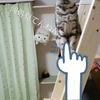 clipThumbnail