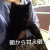 clipThumbnail