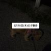 clipThumbnail