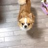 clipThumbnail
