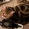 clipThumbnail