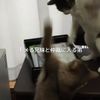 clipThumbnail