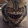 clipThumbnail