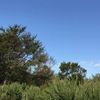 clipThumbnail