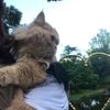 clipThumbnail