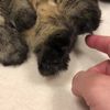 clipThumbnail