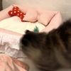 clipThumbnail