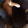 clipThumbnail
