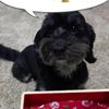 clipThumbnail