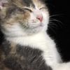 clipThumbnail