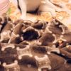 clipThumbnail