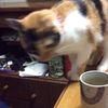 clipThumbnail