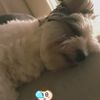 clipThumbnail